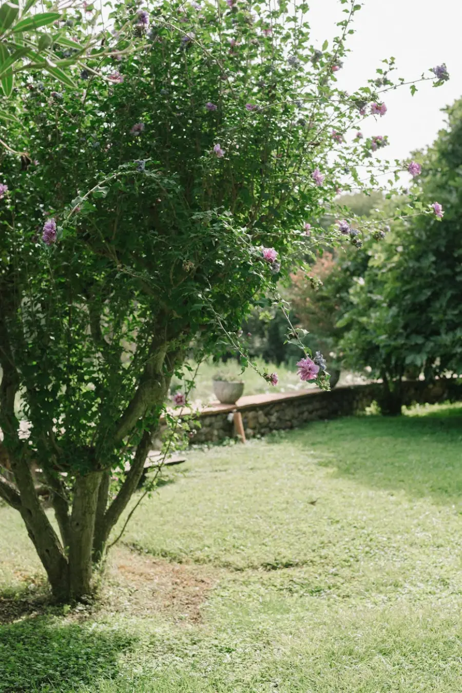 San Biagio a Vicenza, incontro sul futuro del giardino