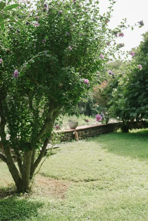 San Biagio a Vicenza, incontro sul futuro del giardino