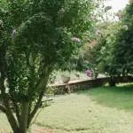 San Biagio a Vicenza, incontro sul futuro del giardino