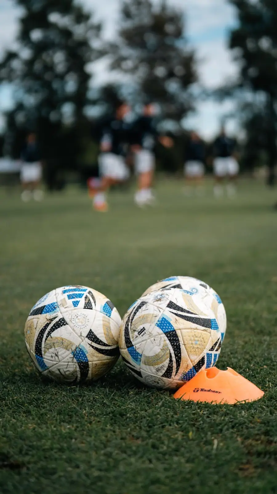 Vicenza, calcio giovanile al Menti con Coppa e Mundialito