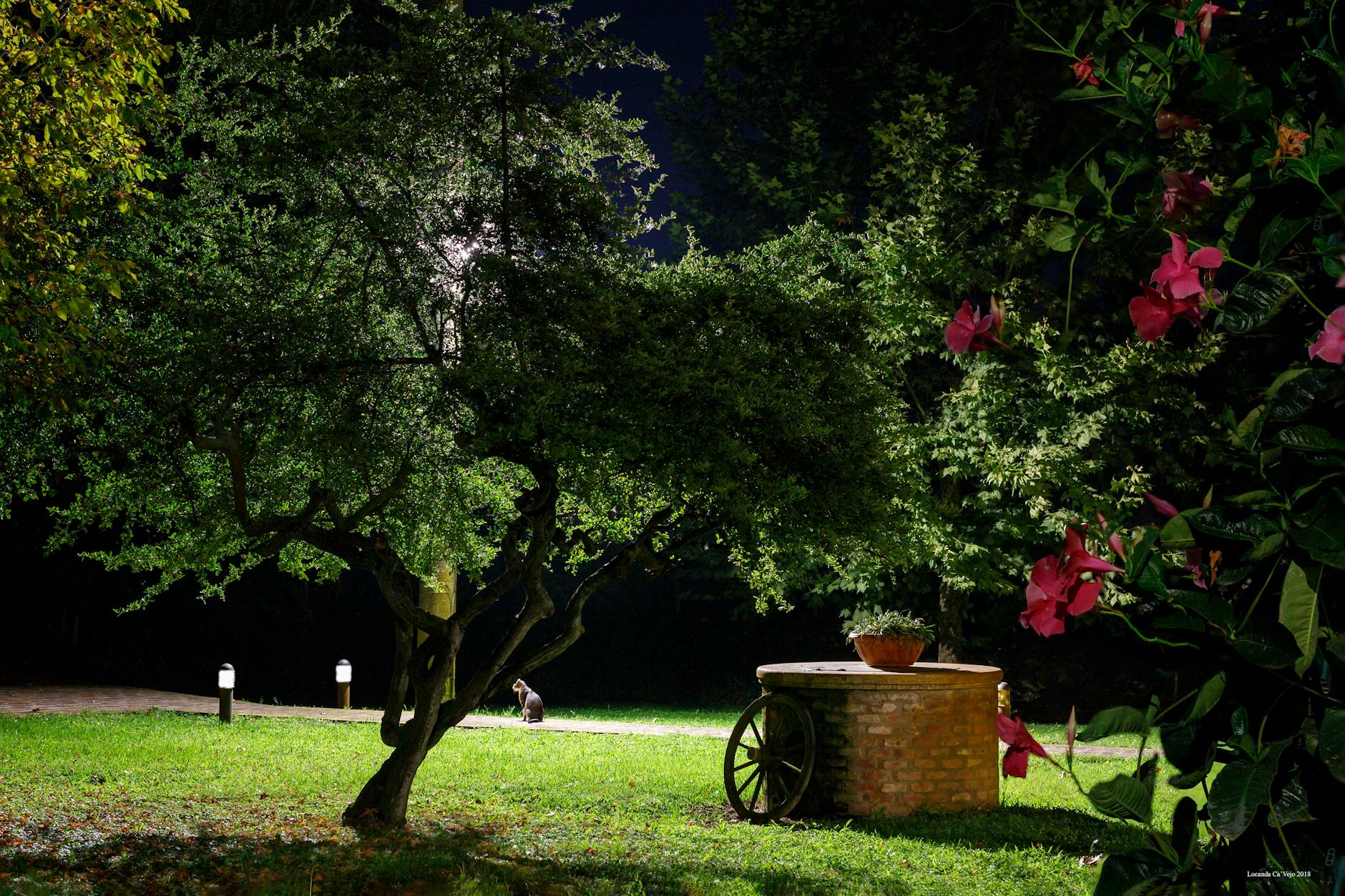 Vicenza, apre il Giardino San Biagio dopo 40 anni