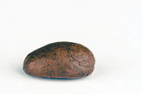 Vicenza, sequestrati 31 chili di hashish sulla Pedemontana