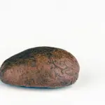Vicenza, sequestrati 31 chili di hashish sulla Pedemontana