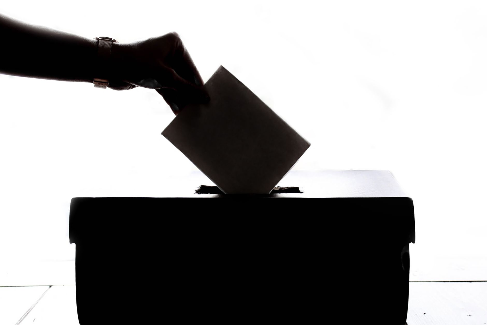 Vicenza, Possamai al 56% nella Governance Poll 2026