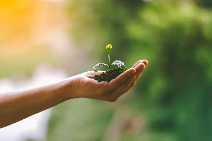 Vicenza, tornano le domeniche ecologiche: sette appuntamenti