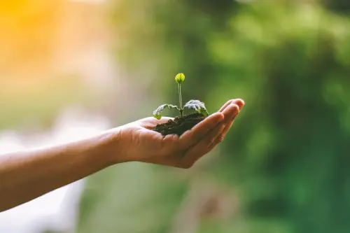 Vicenza, tornano le domeniche ecologiche: sette appuntamenti