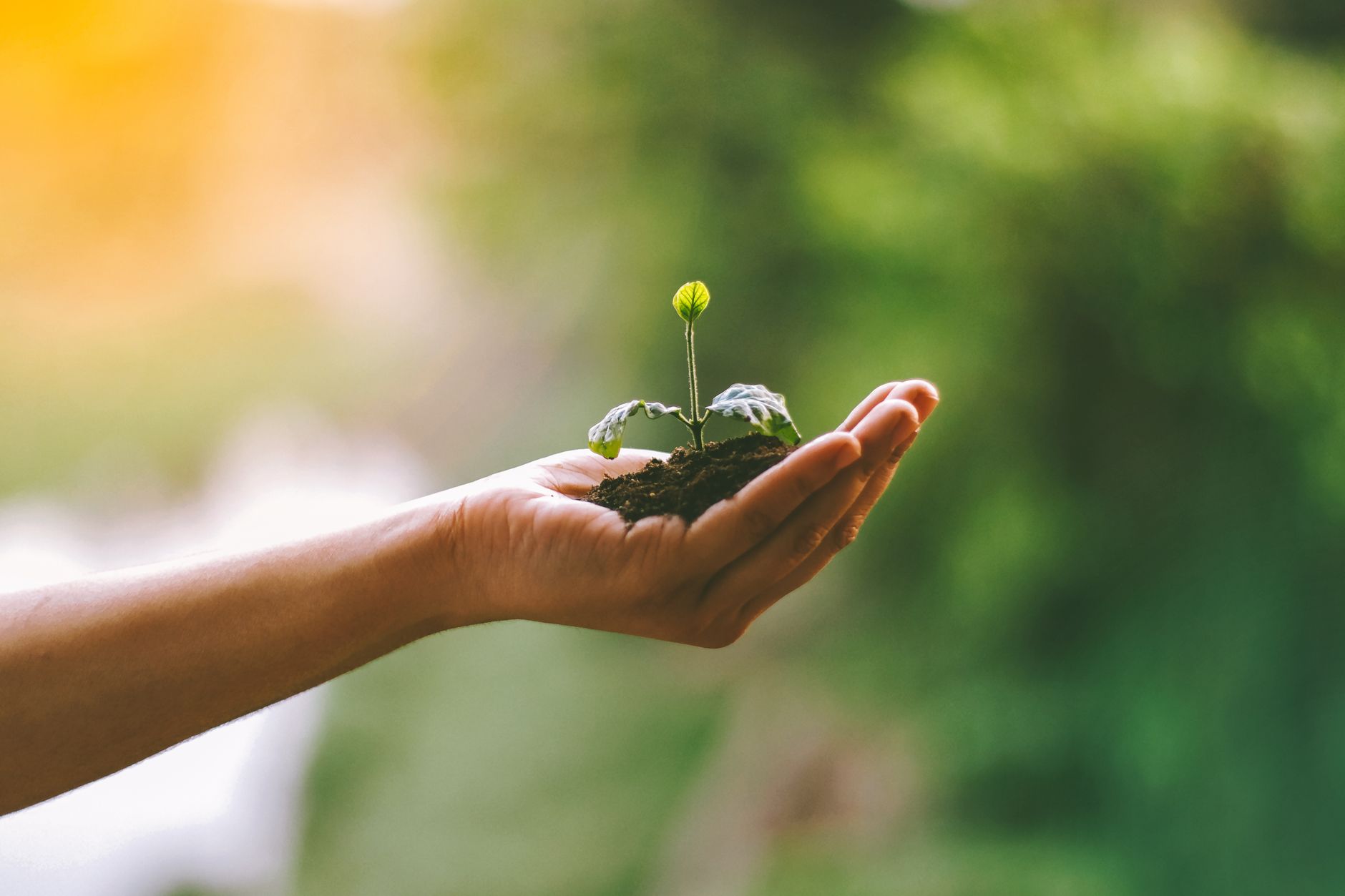 Vicenza, tornano le domeniche ecologiche: sette appuntamenti