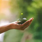 Vicenza, tornano le domeniche ecologiche: sette appuntamenti