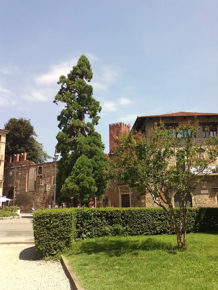 Piazza Matteotti cambia volto: il progetto che ridisegna il cuore urbano