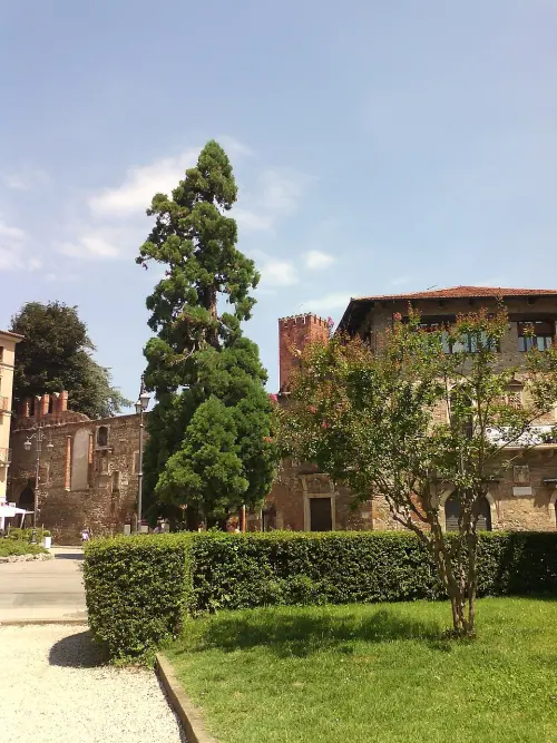 Piazza Matteotti cambia volto: il progetto che ridisegna il cuore urbano