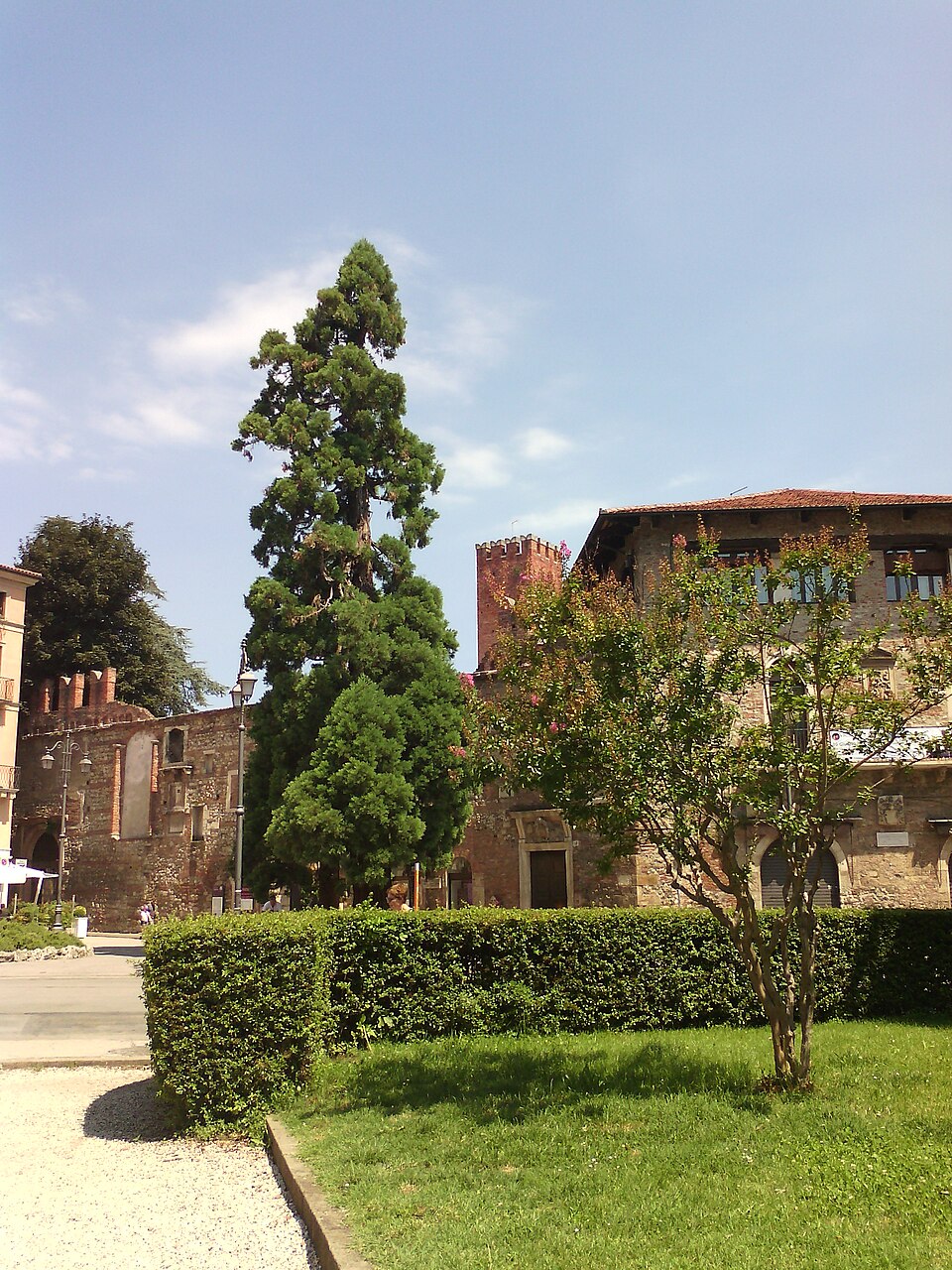 Piazza Matteotti cambia volto: il progetto che ridisegna il cuore urbano