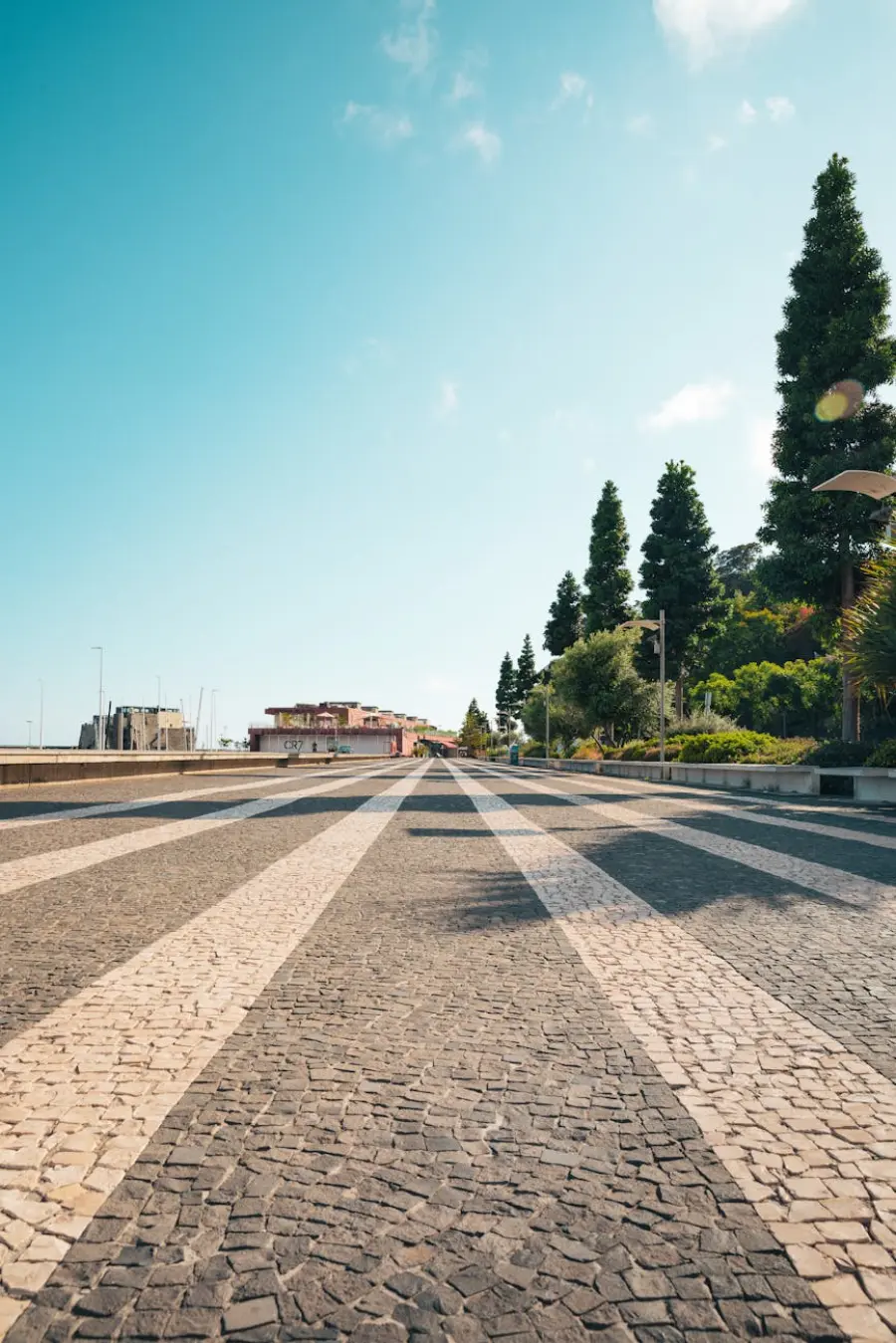 Vicenza, riapre strada di Casale: torna regolare la linea 17